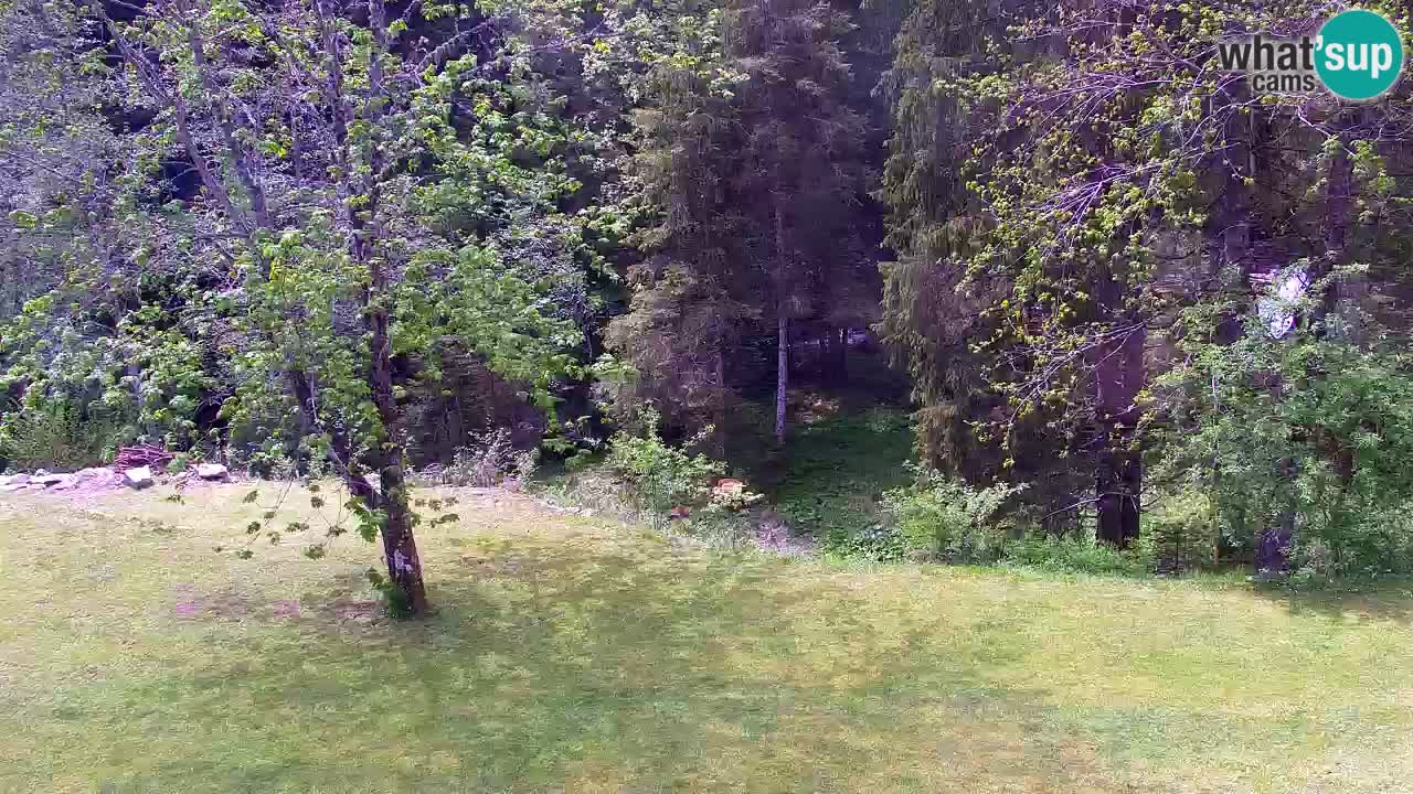 Webcam Lukanja – Water Village | Pohorje Houses