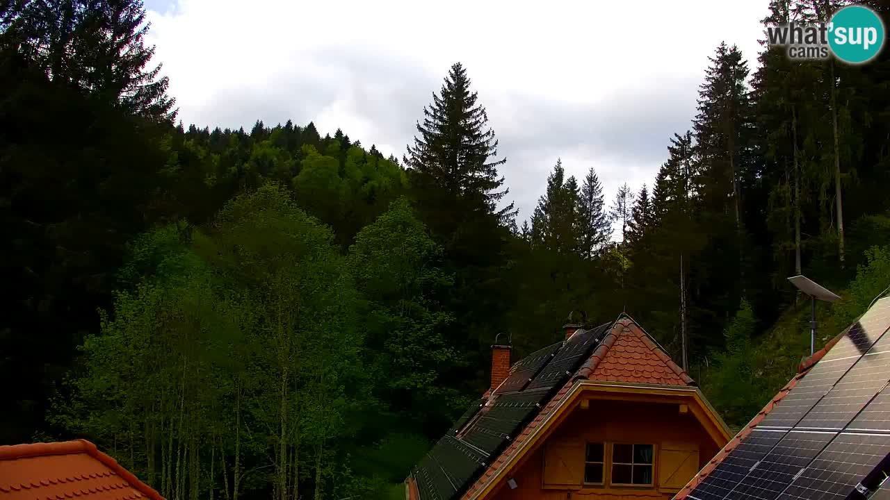 Webcam Lukanja – Pohorje houses a Water village