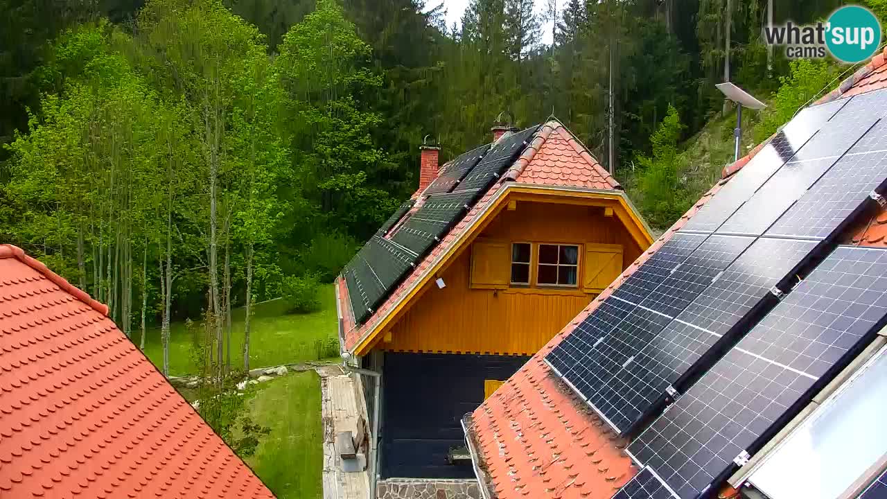 Webcam Lukanja – Water Village | Pohorje Houses