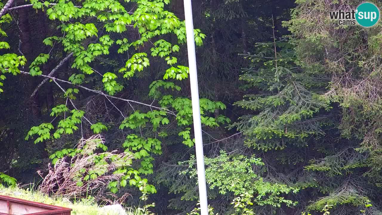 Webcam Lukanja – Pohorje houses a Water village