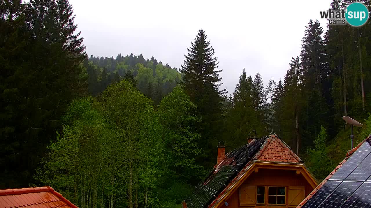 Webcam Lukanja – Water Village | Pohorje Houses