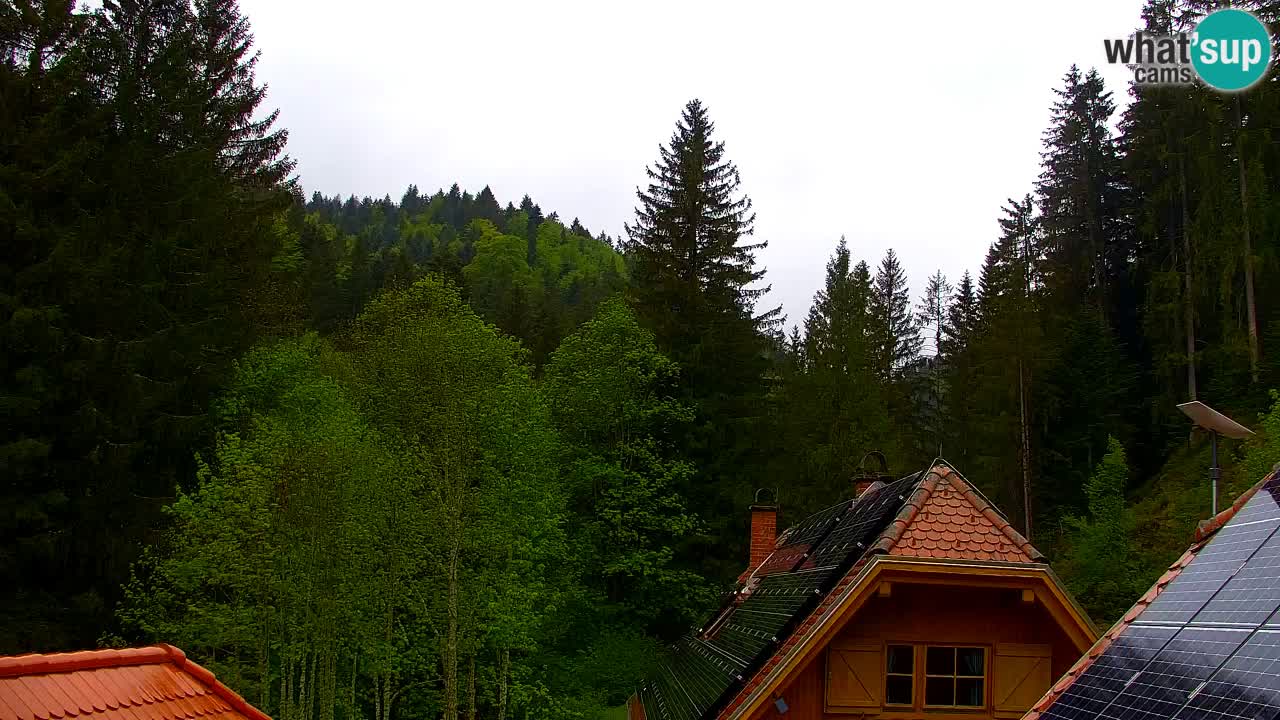 Webcam Lukanja – Water Village | Pohorje Houses