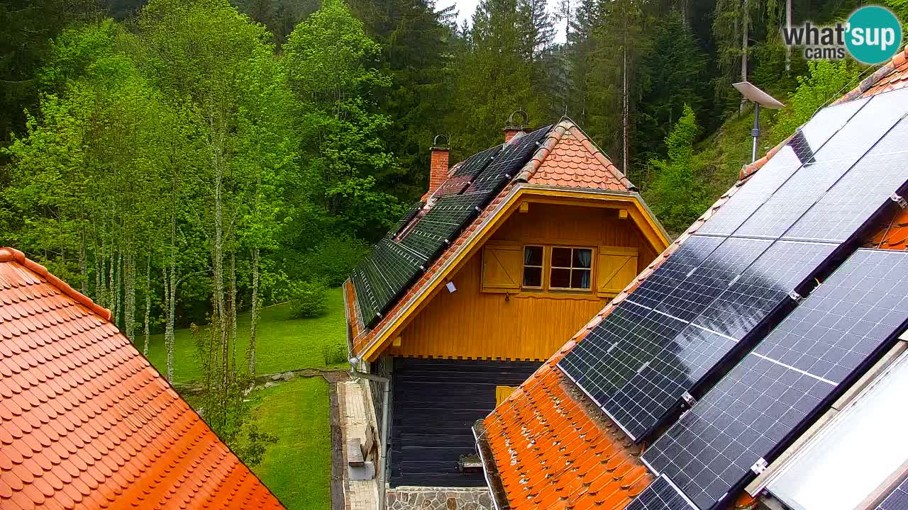 Webcam Lukanja – Pohorje houses a Water village
