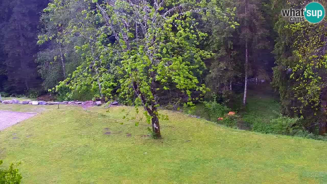 Webcam Lukanja – Water Village | Pohorje Houses