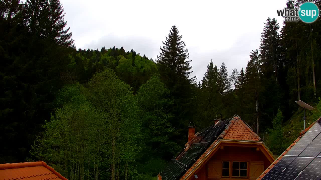 Web kamera Lukanja – Water Village | Pohorje Houses
