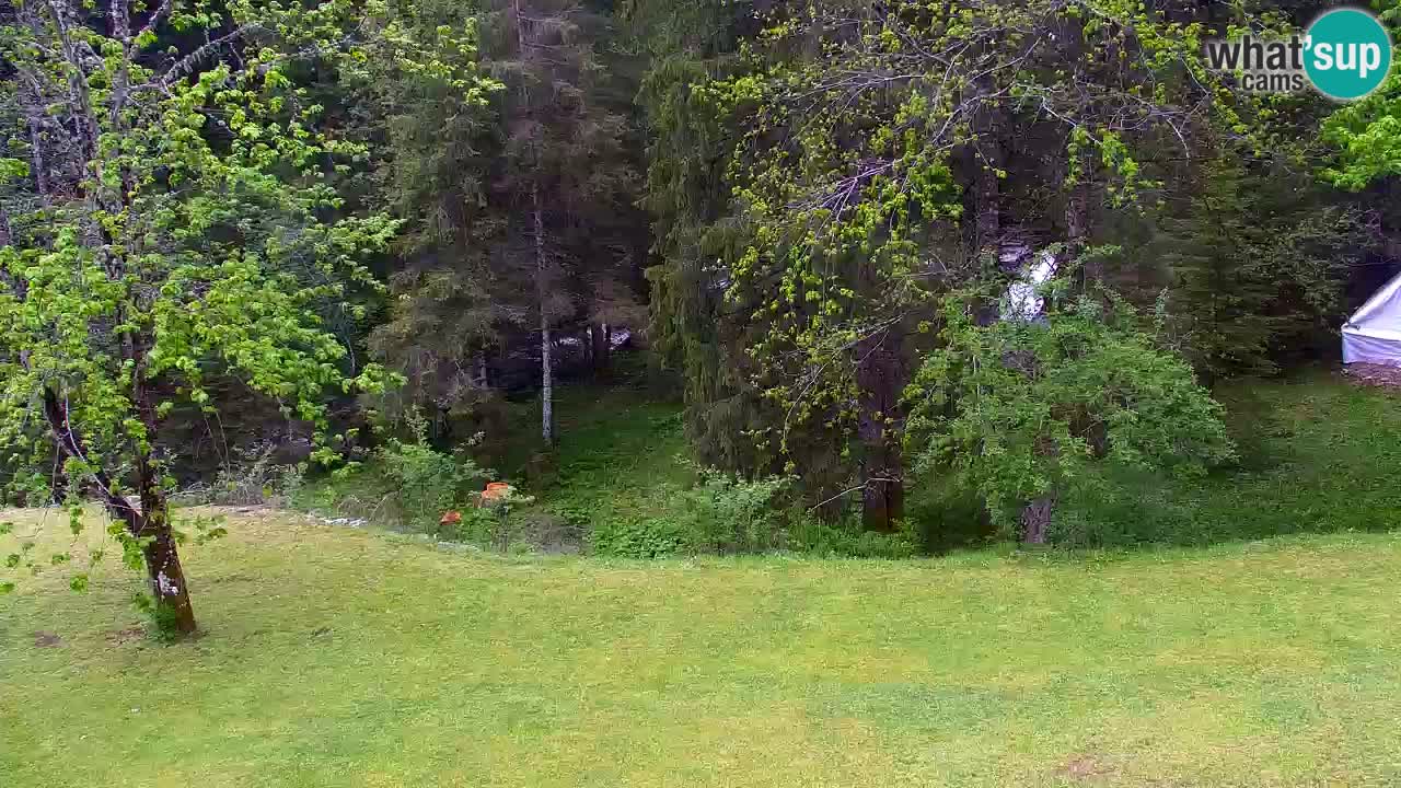 Webcam Lukanja – Water Village | Pohorje Houses