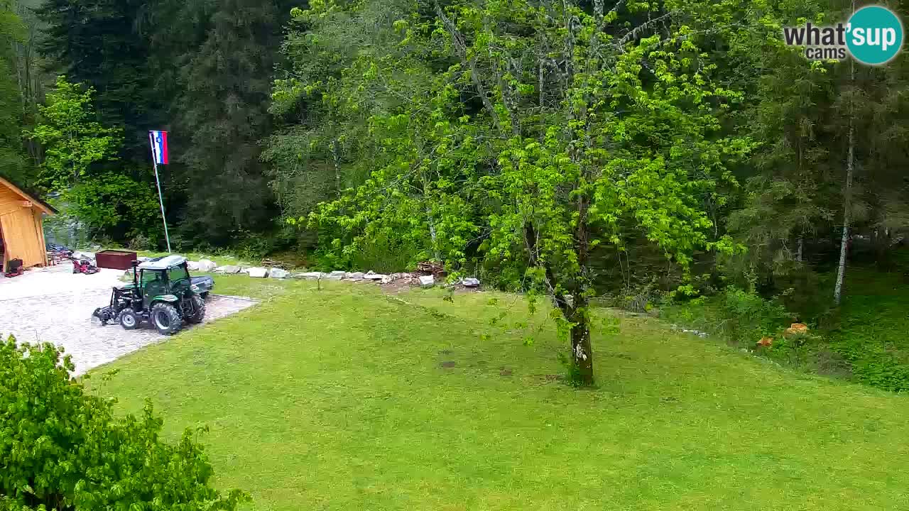 Webcam Lukanja – Pohorje houses a Water village