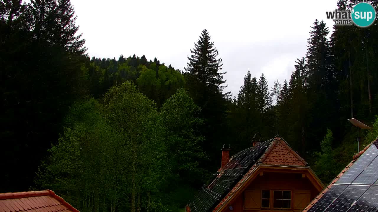 Spletna kamera Lukanja – Water Village | Pohorje Houses