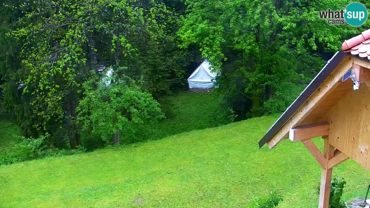 Webcam Lukanja – Water Village | Pohorje Houses