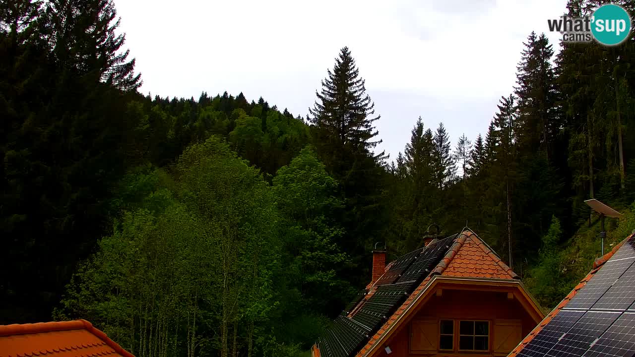 Webcam Lukanja – Water Village | Pohorje Houses