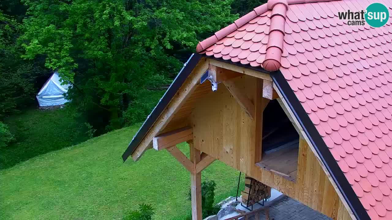 Spletna kamera Lukanja – Water Village | Pohorje Houses