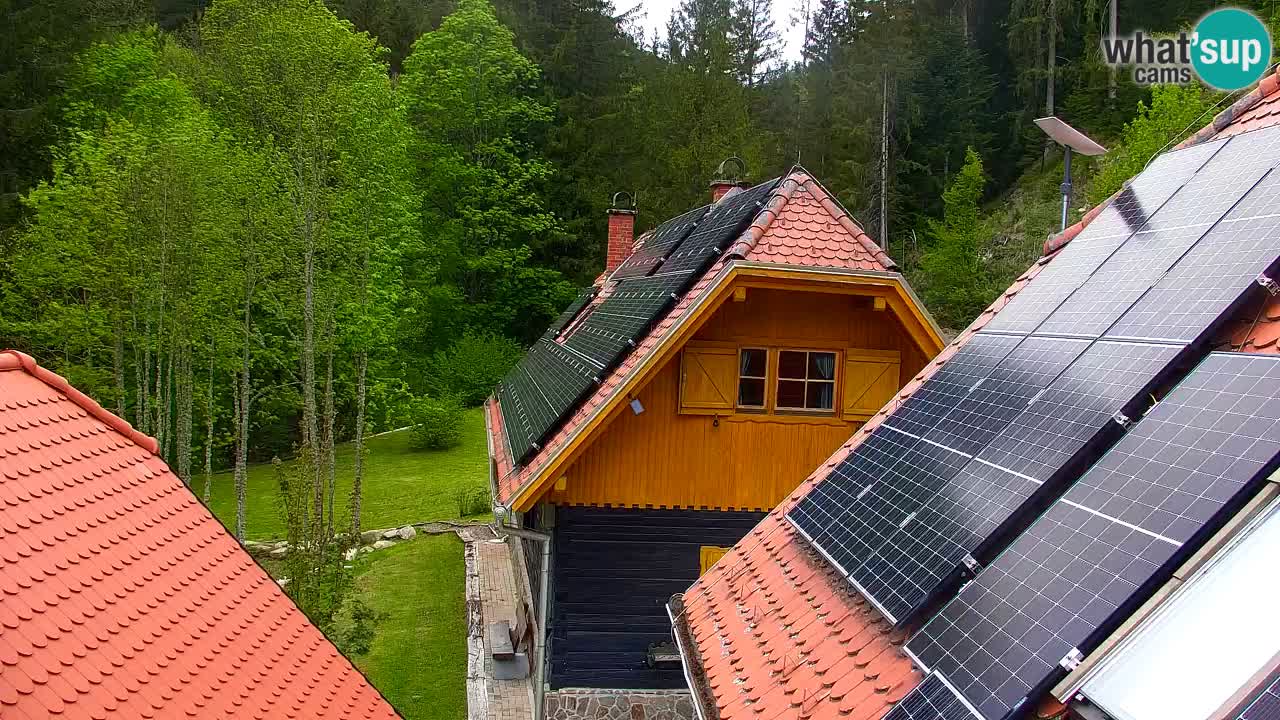 Webcam Lukanja – Pohorje houses a Water village