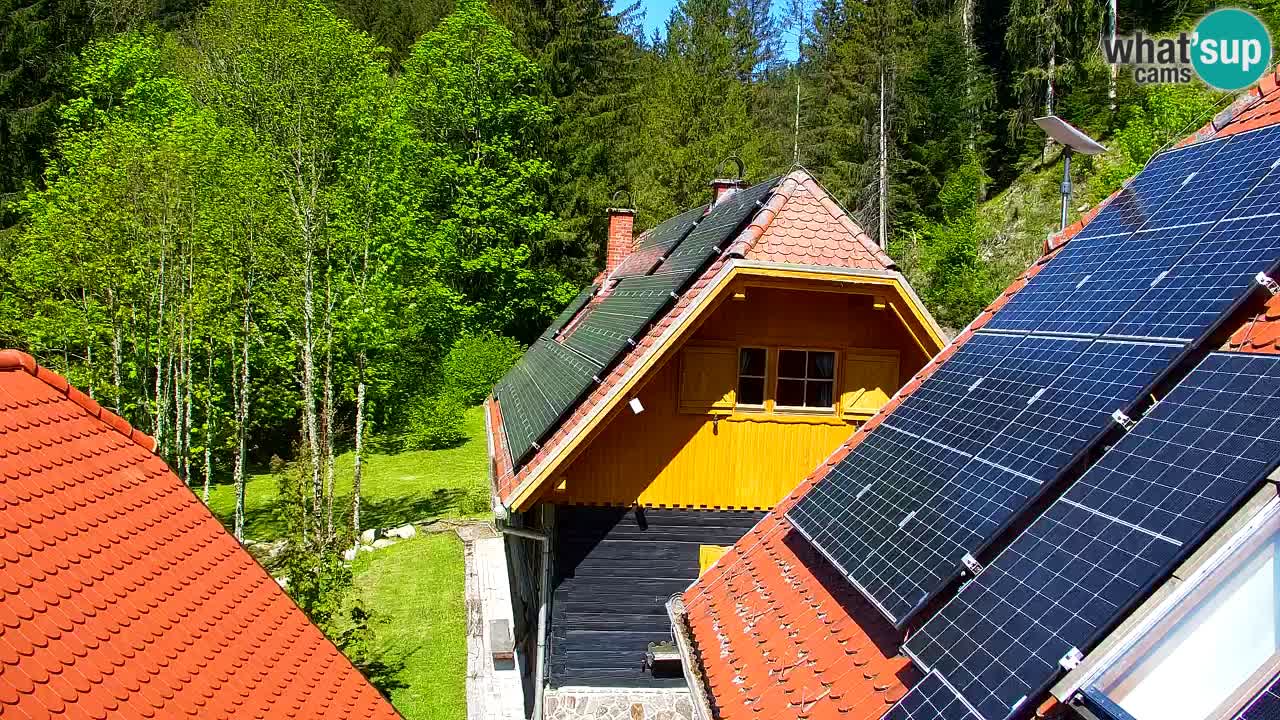 Spletna kamera Lukanja – Water Village | Pohorje Houses