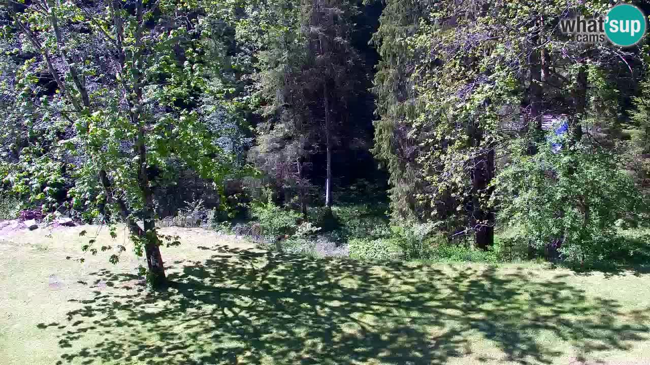 Webcam Lukanja – Water Village | Pohorje Houses