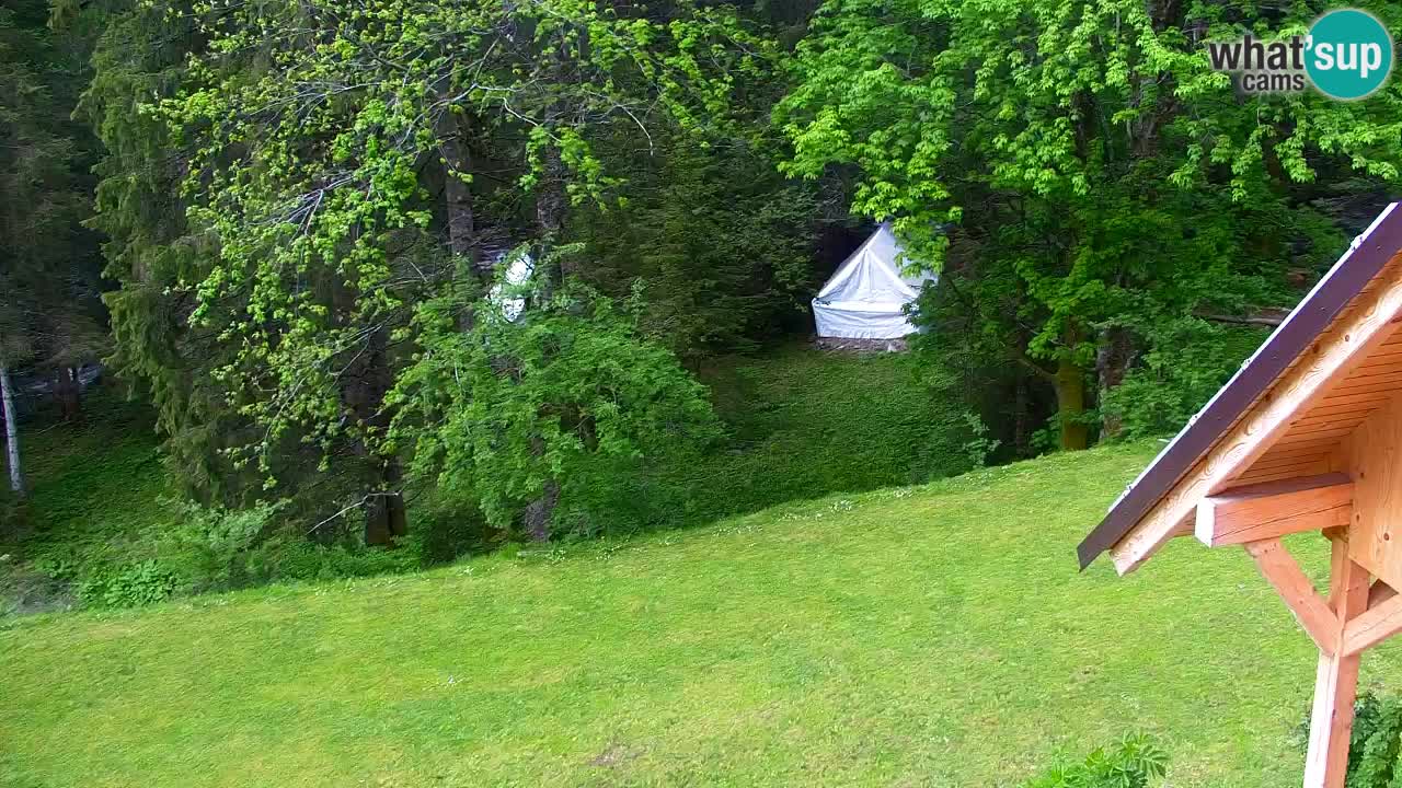 Webcam Lukanja – Water Village | Pohorje Houses