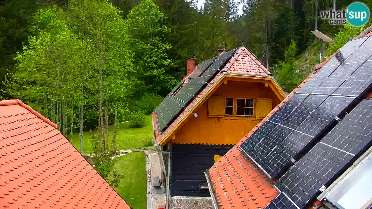 Webcam Lukanja – Pohorje houses a Water village