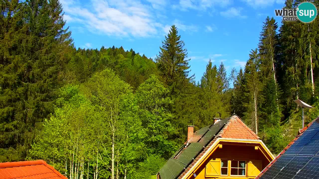 Web kamera Lukanja – Water Village | Pohorje Houses