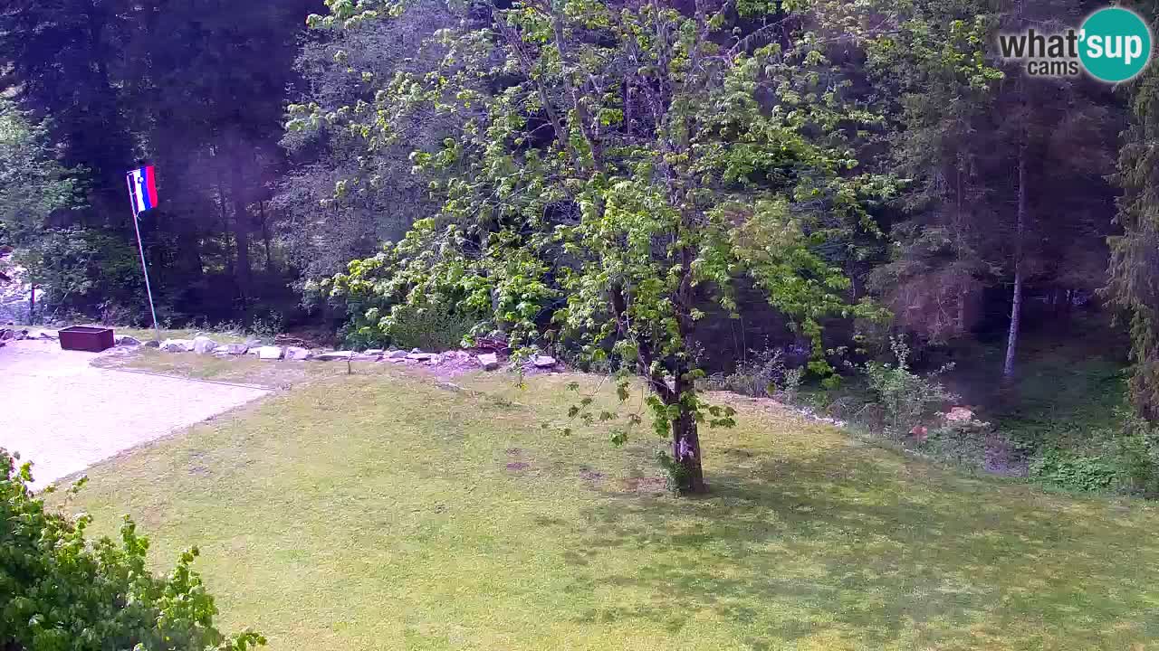 Webcam Lukanja – Pohorje houses a Water village