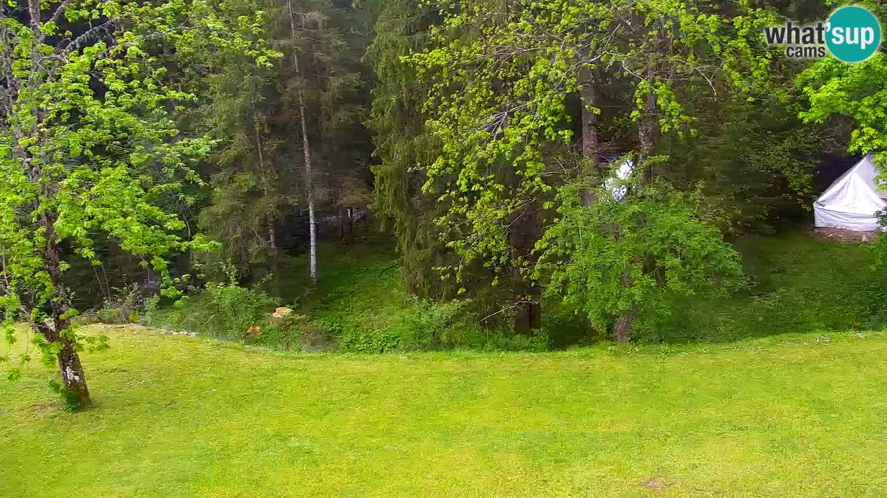 Webcam Lukanja – Water Village | Pohorje Houses