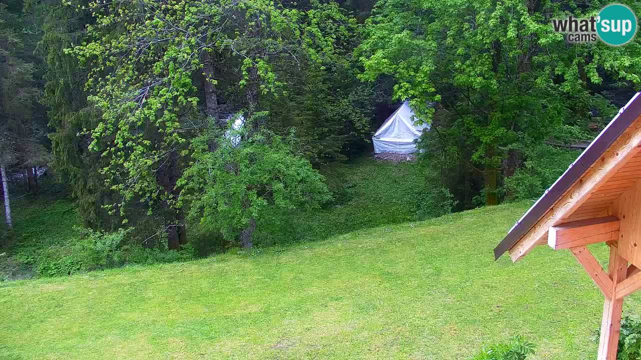 Webcam Lukanja – Water Village | Pohorje Houses