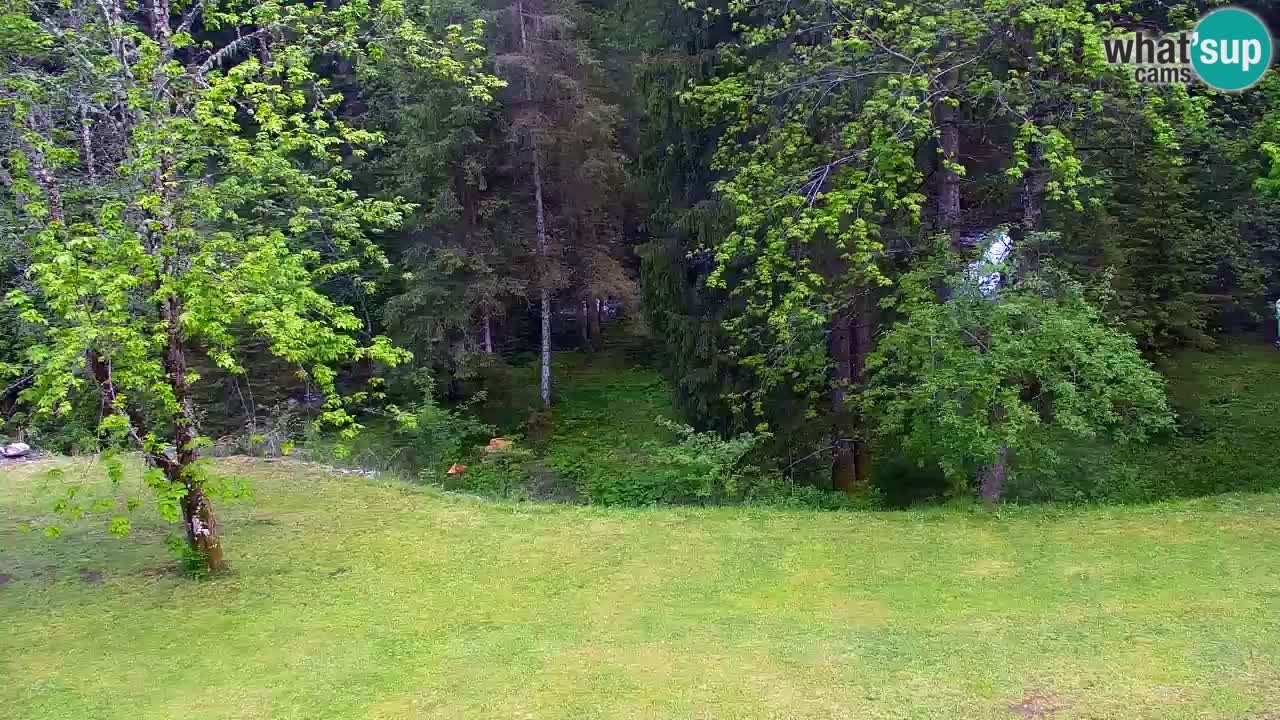 Webcam Lukanja – Pohorje houses a Water village