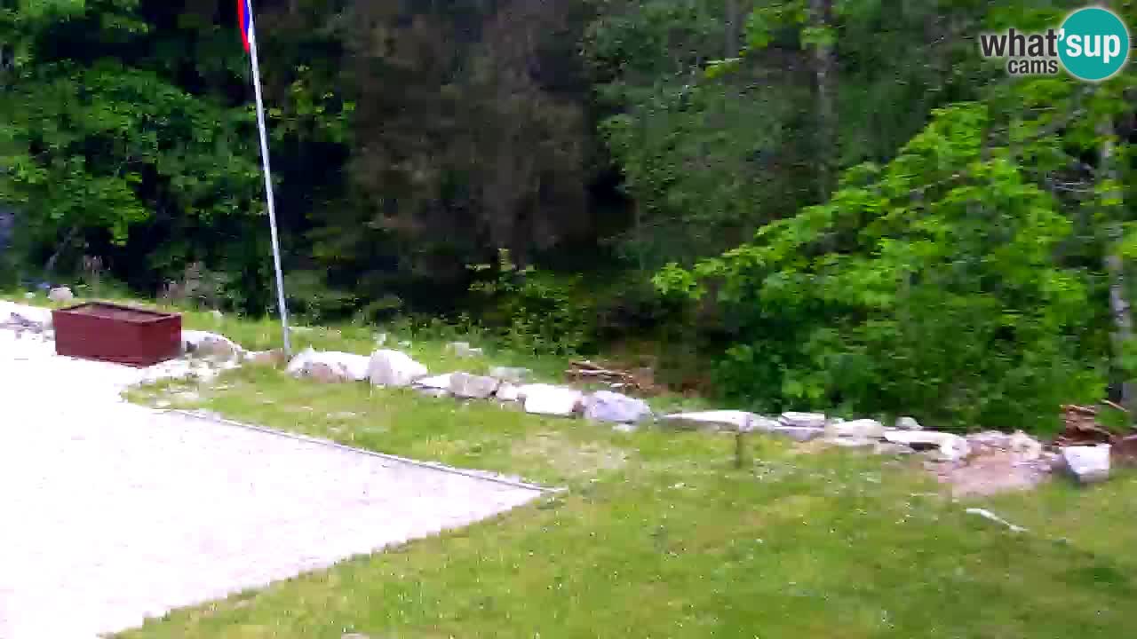 Web kamera Lukanja – Water Village | Pohorje Houses