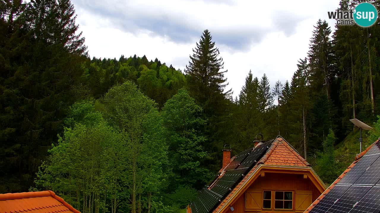 Spletna kamera Lukanja – Water Village | Pohorje Houses