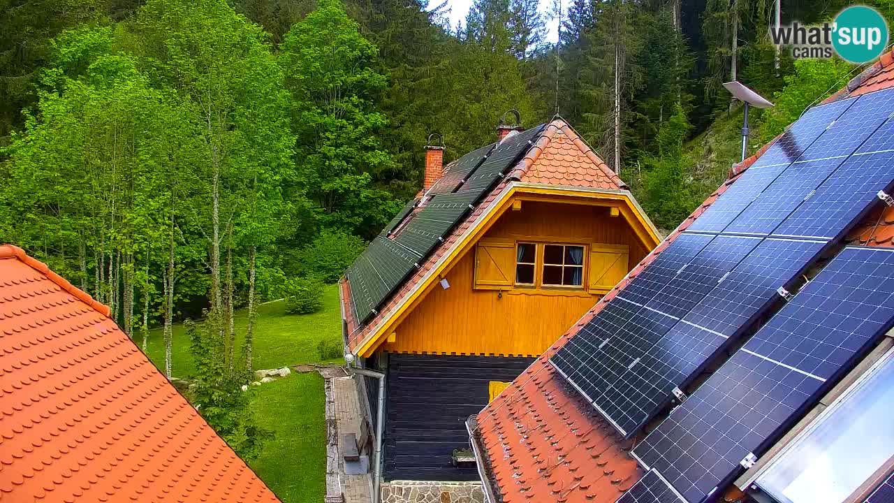 Web kamera Lukanja – Water Village | Pohorje Houses