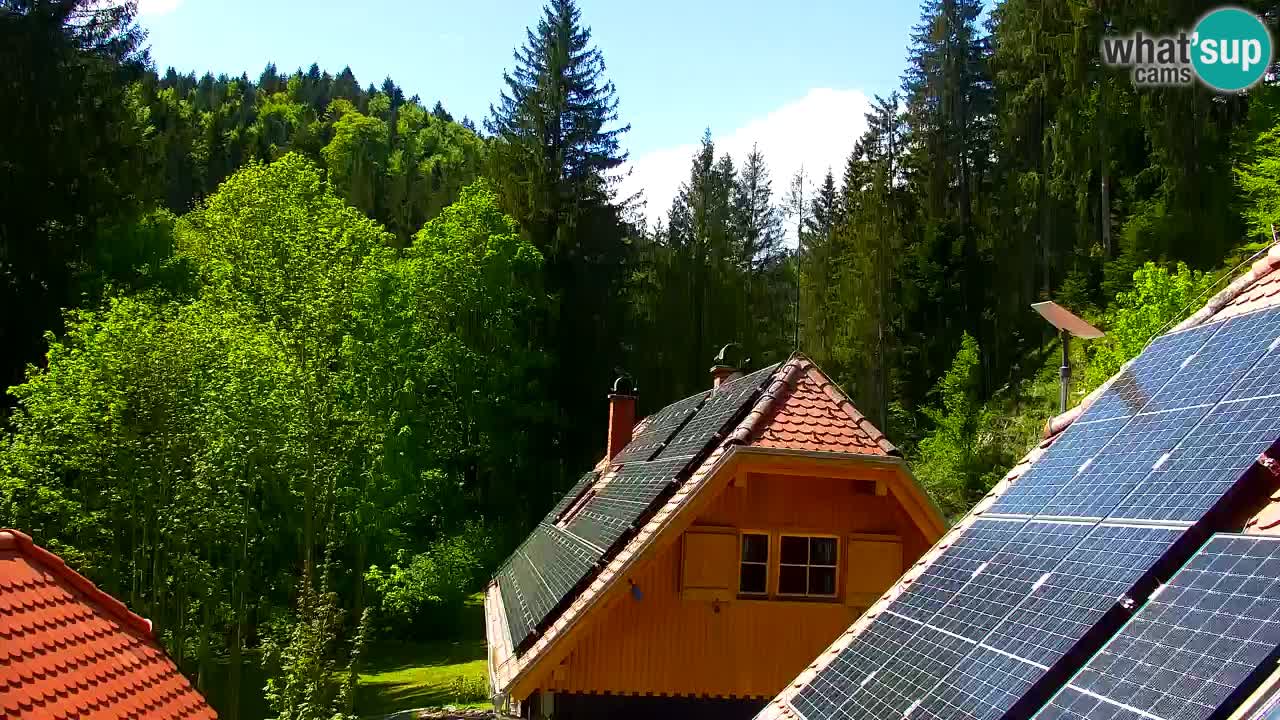 Webcam Lukanja – Pohorje houses a Water village