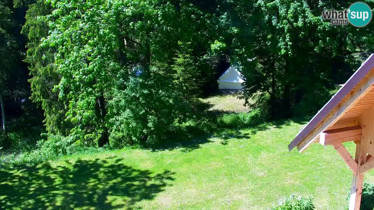 Webcam Lukanja – Water Village | Pohorje Houses