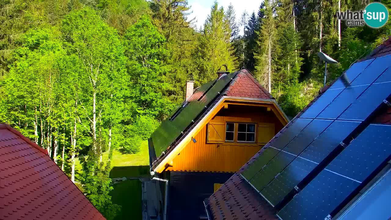Webcam Lukanja – Water Village | Pohorje Houses