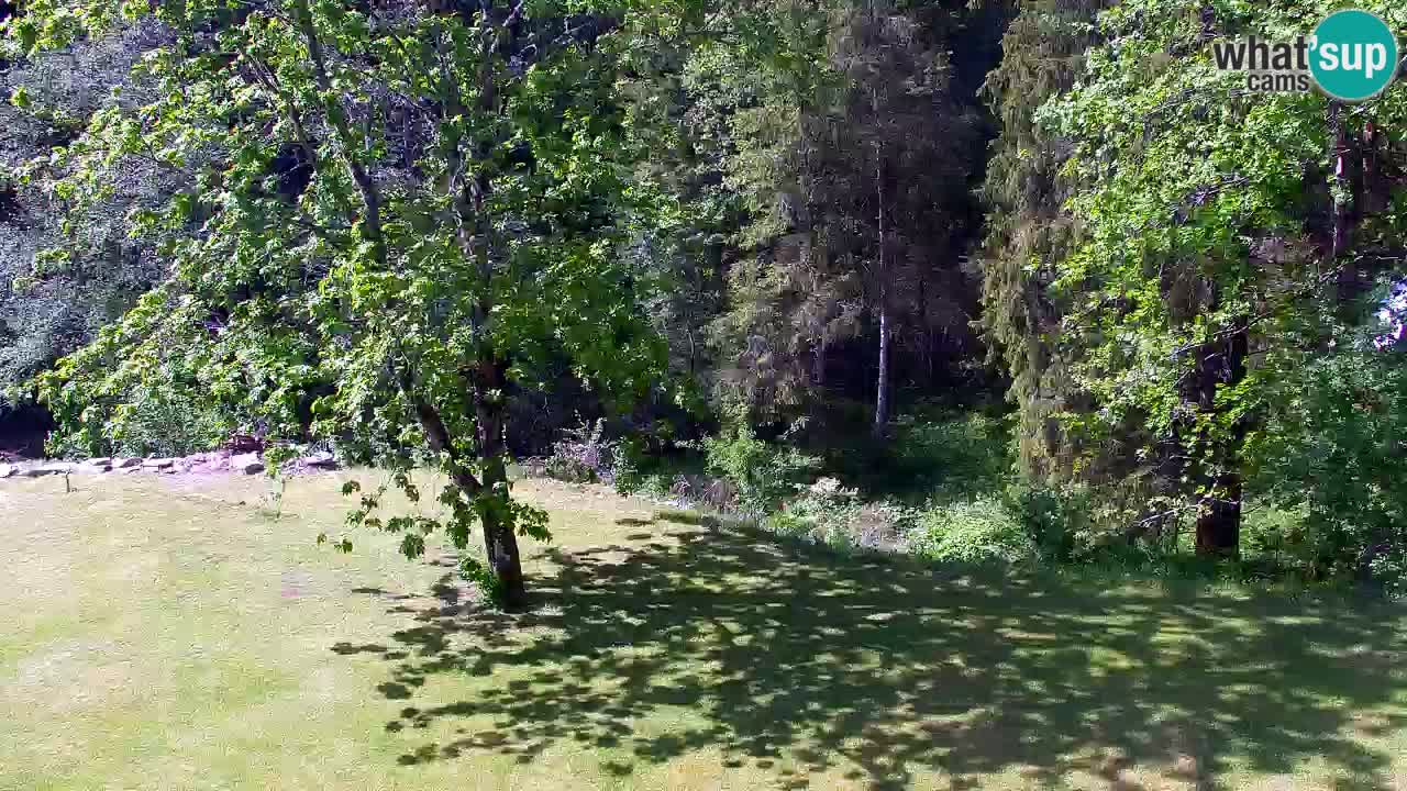 Webcam Lukanja – Pohorje houses a Water village