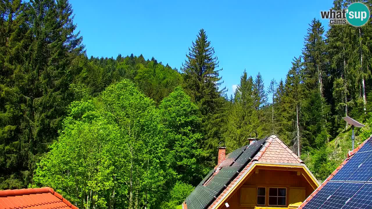 Webcam Lukanja – Water Village | Pohorje Houses