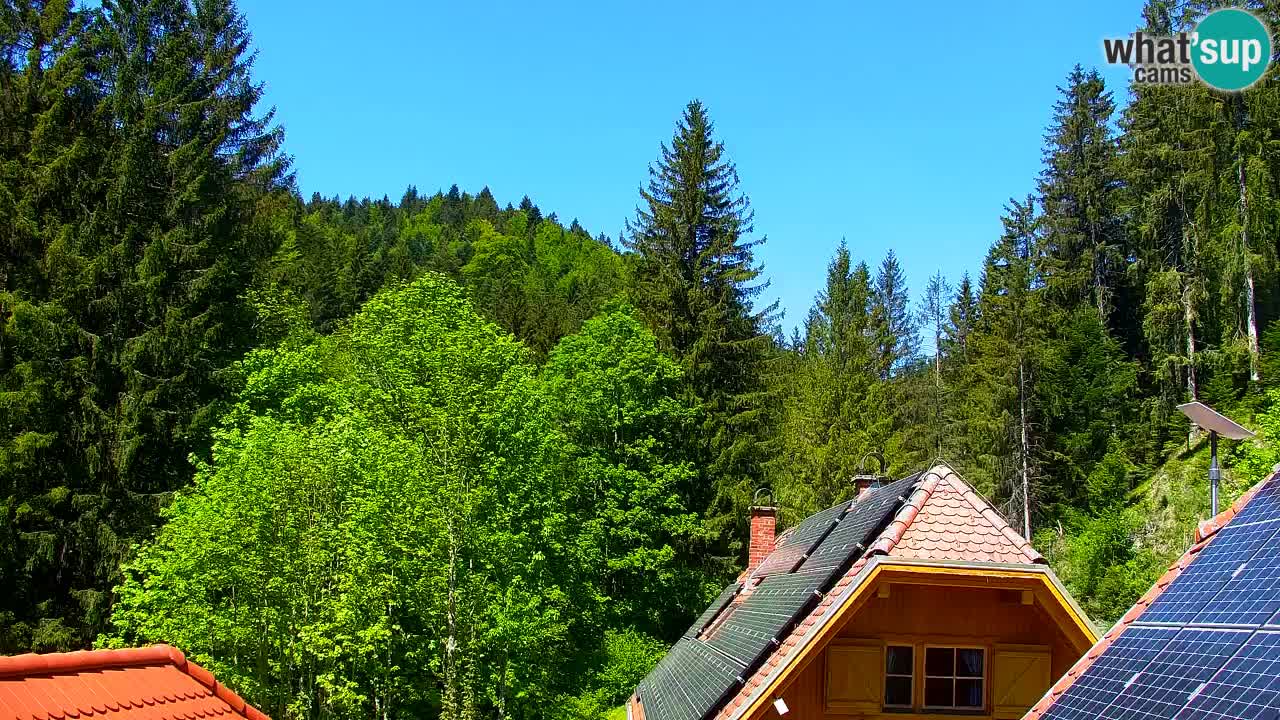Webcam Lukanja – Water Village | Pohorje Houses