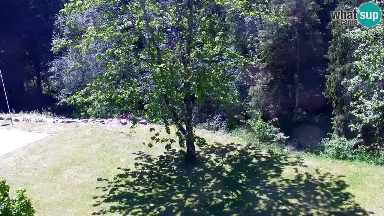 Spletna kamera Lukanja – Water Village | Pohorje Houses
