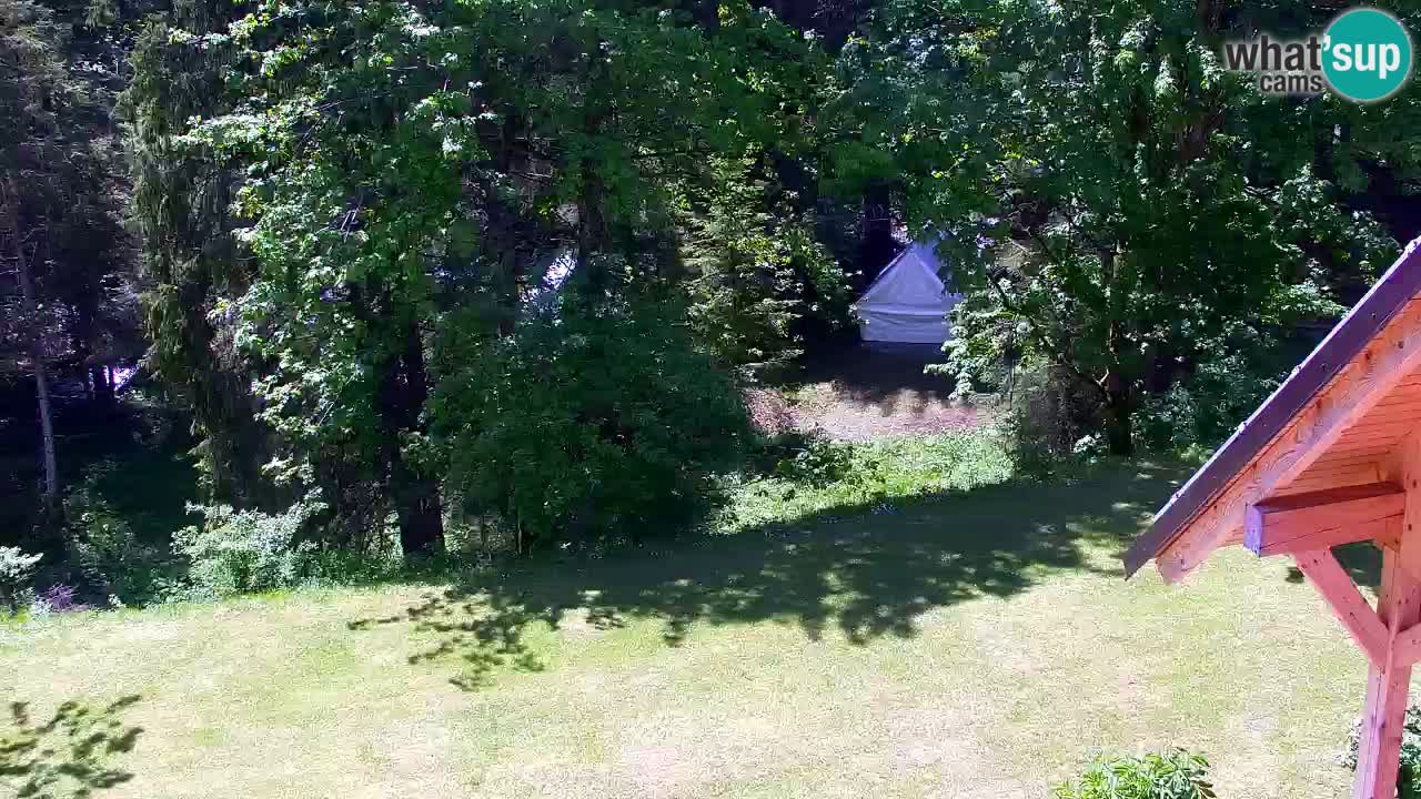 Webcam Lukanja – Pohorje houses a Water village