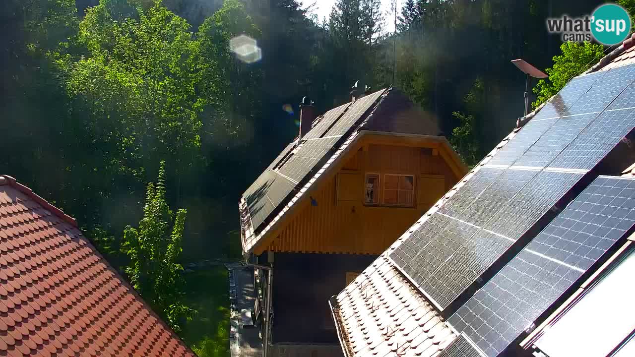 Spletna kamera Lukanja – Water Village | Pohorje Houses
