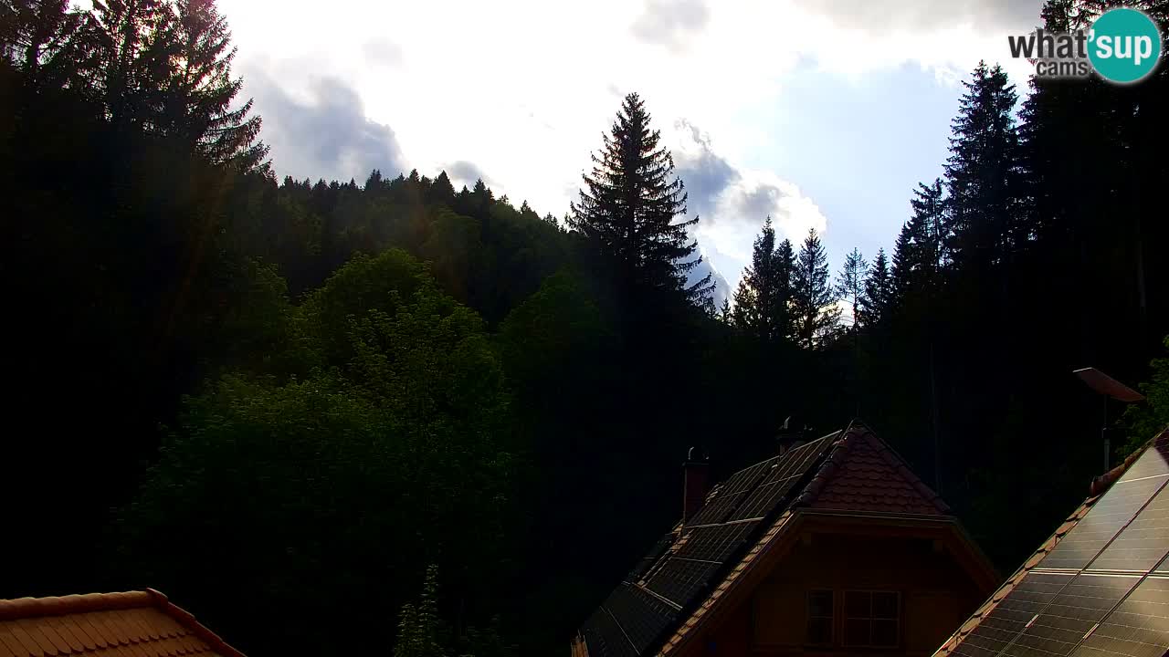 Spletna kamera Lukanja – Water Village | Pohorje Houses