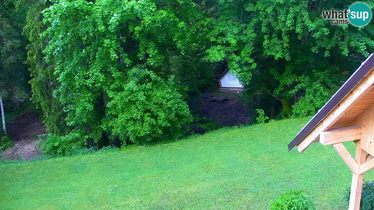 Webcam Lukanja – Water Village | Pohorje Houses