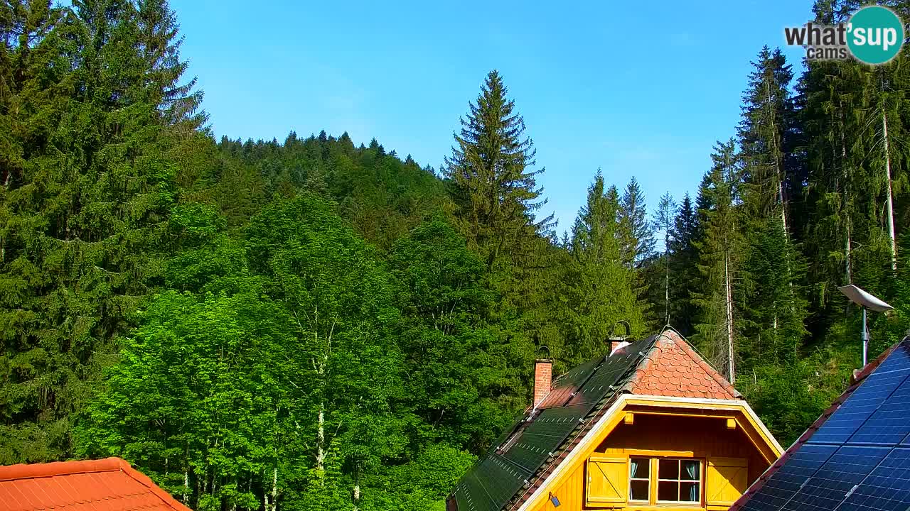 Web kamera Lukanja – Water Village | Pohorje Houses