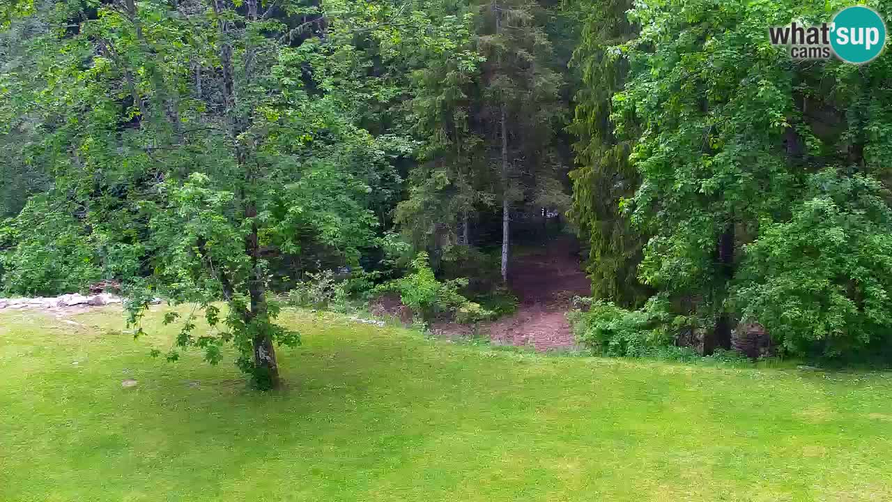 Webcam Lukanja – Water Village | Pohorje Houses