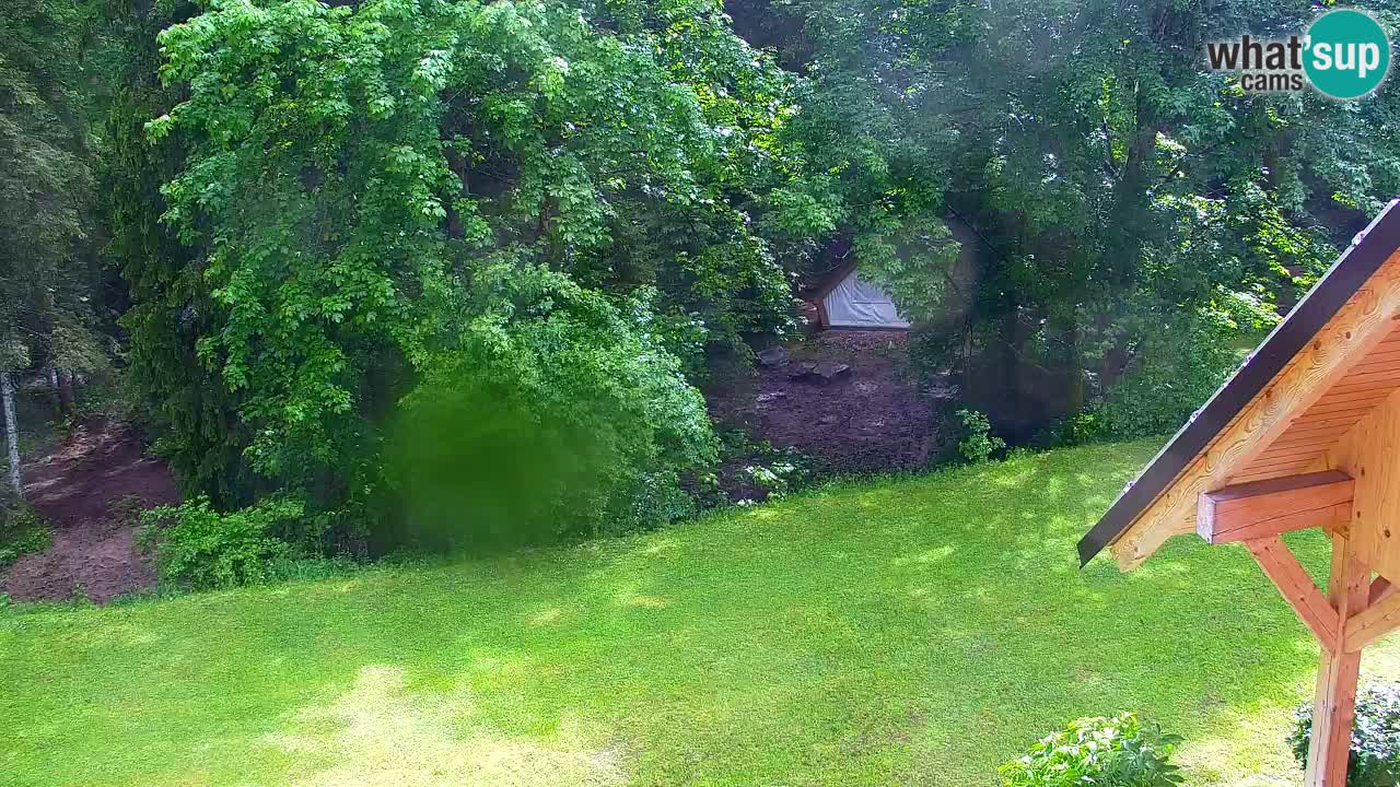 Webcam Lukanja – Water Village | Pohorje Houses