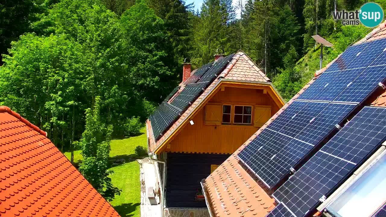 Webcam Lukanja – Water Village | Pohorje Houses