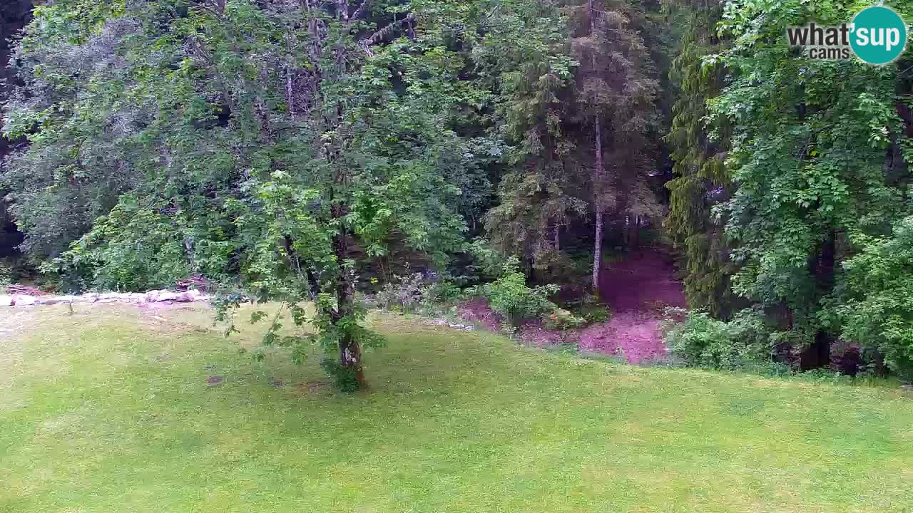 Webcam Lukanja – Water Village | Pohorje Houses