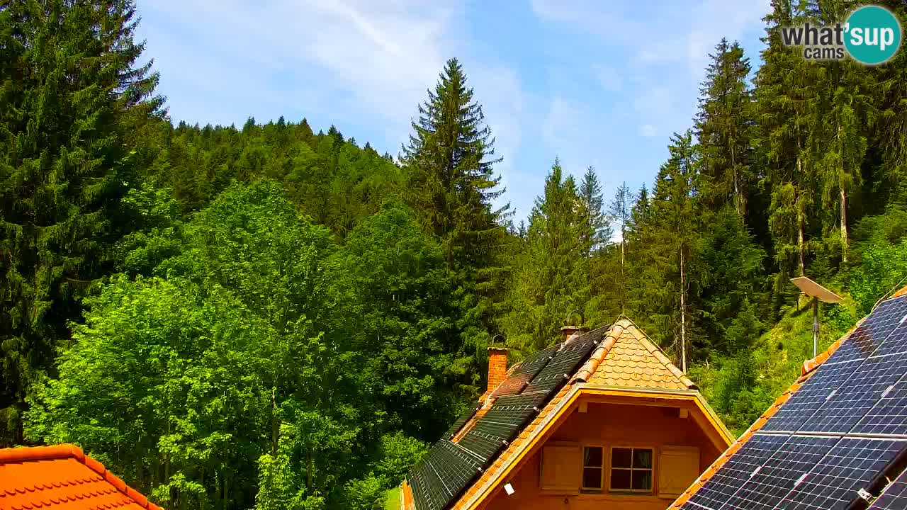 Webcam Lukanja – Water Village | Pohorje Houses