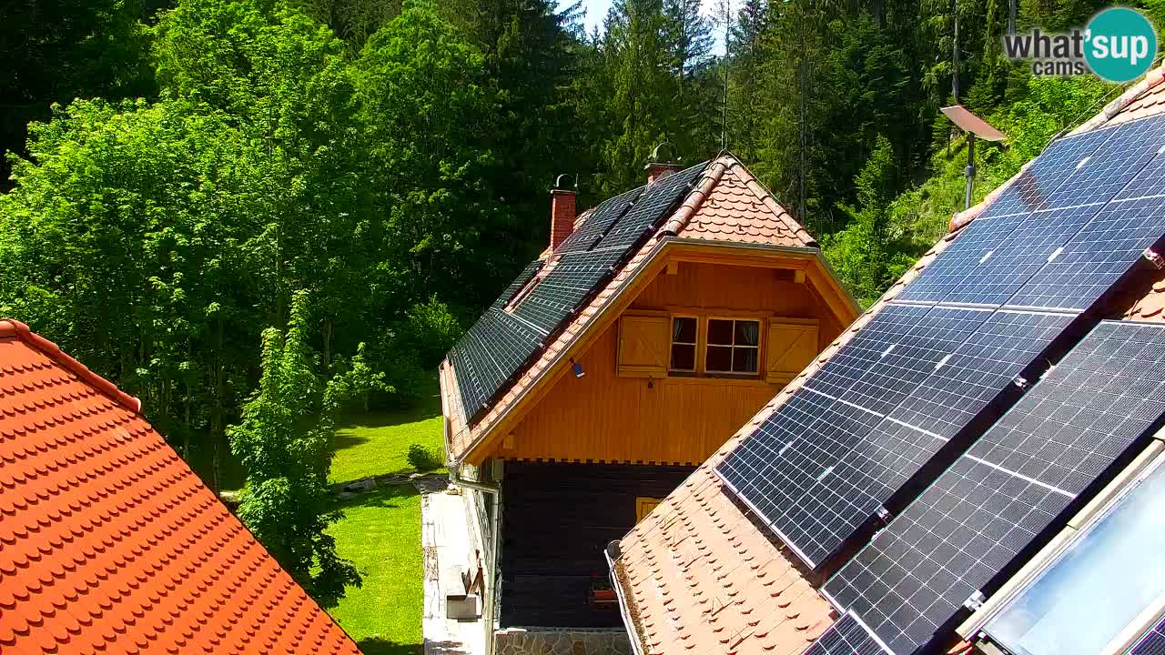 Webcam Lukanja – Water Village | Pohorje Houses