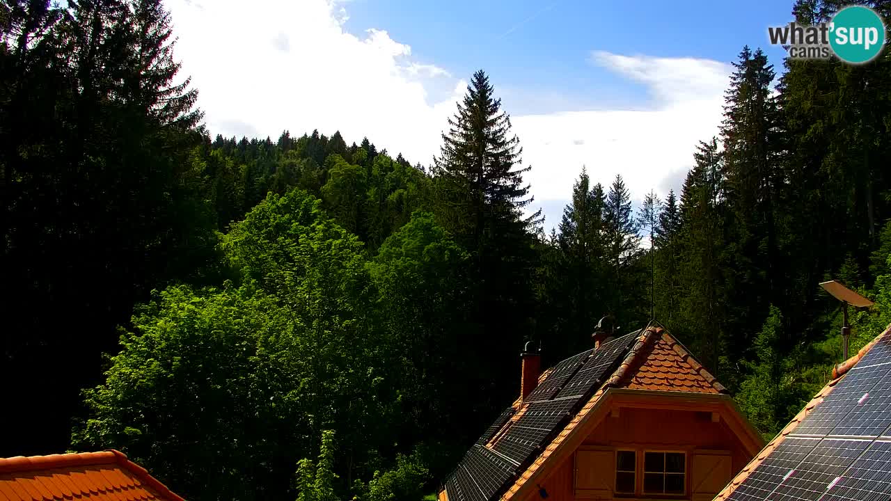 Webcam Lukanja – Pohorje houses a Water village