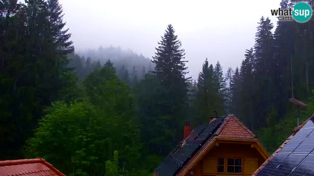 Webcam Lukanja – Pohorje houses a Water village