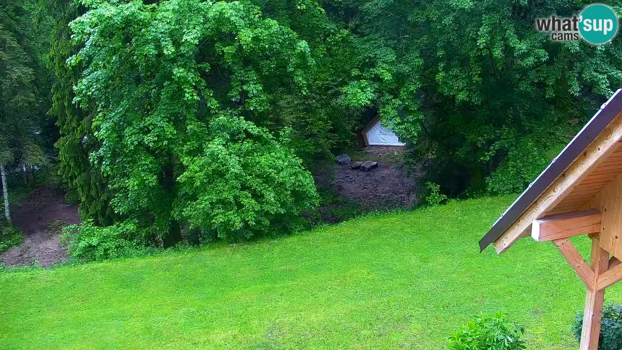 Webcam Lukanja – Water Village | Pohorje Houses