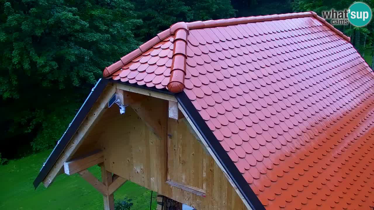 Webcam Lukanja – Pohorje houses a Water village